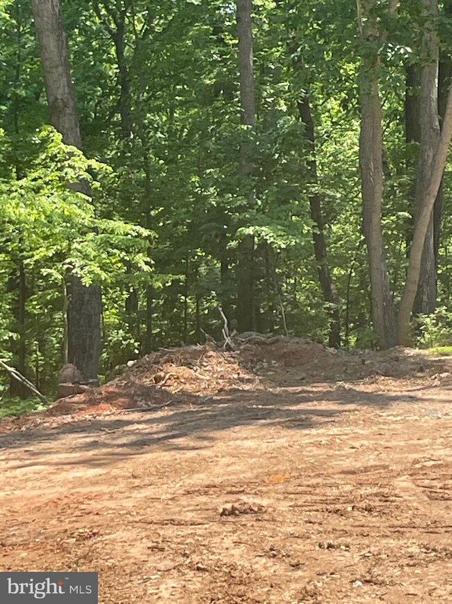 0 Ebenezer Rd unit VACL2001060, Bluemont, VA 20135 - photo 7