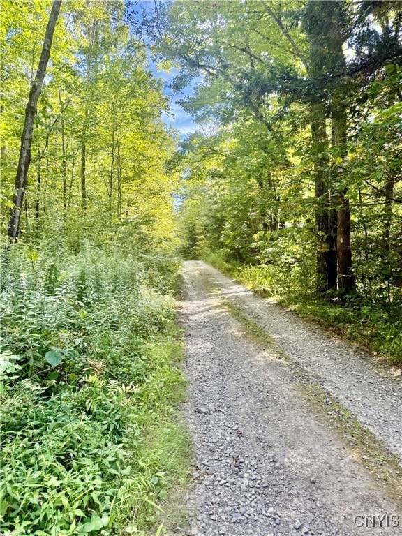 1792 Steve Russell Hill Rd, Freetown, NY 13803 - photo 5