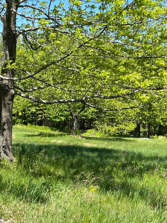 581 Depot Hill Rd, Henniker, NH 03242 - photo 5