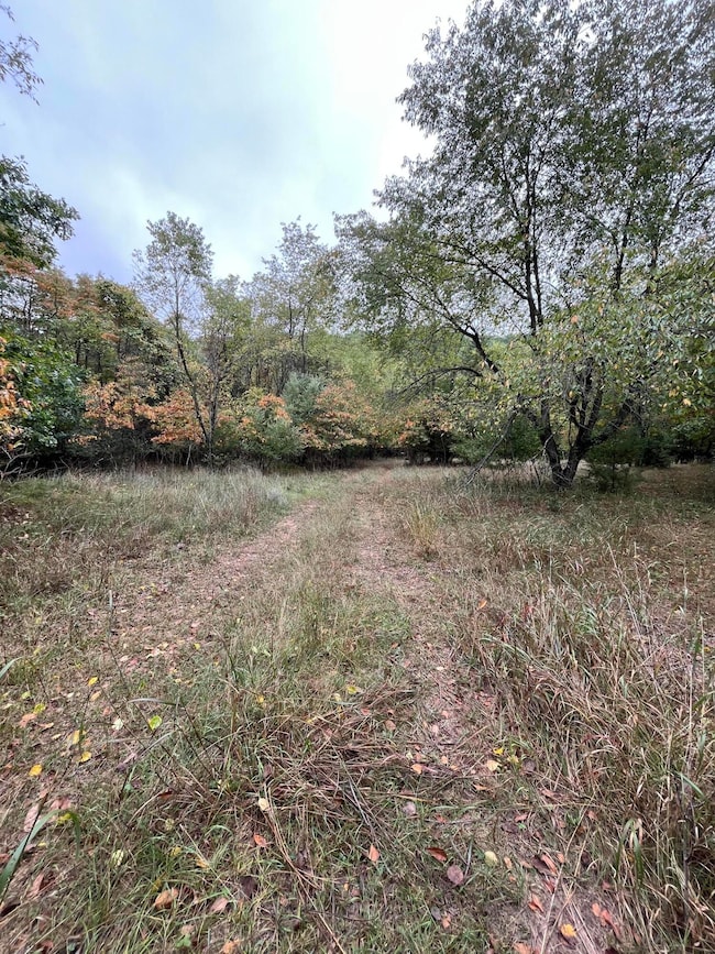 0 65th St, Holland, MI 49423 - photo 4