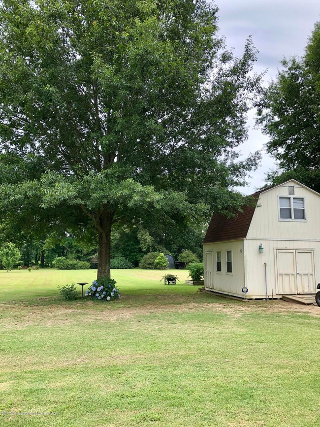 2018-06-19 13.36.23-2