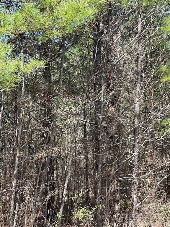 000 River Hill Rd, Statesville, NC 28625 - photo 6