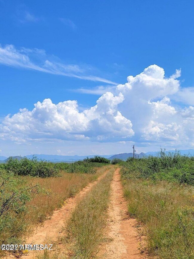 3.41 ACRE on Richey Rd (6)