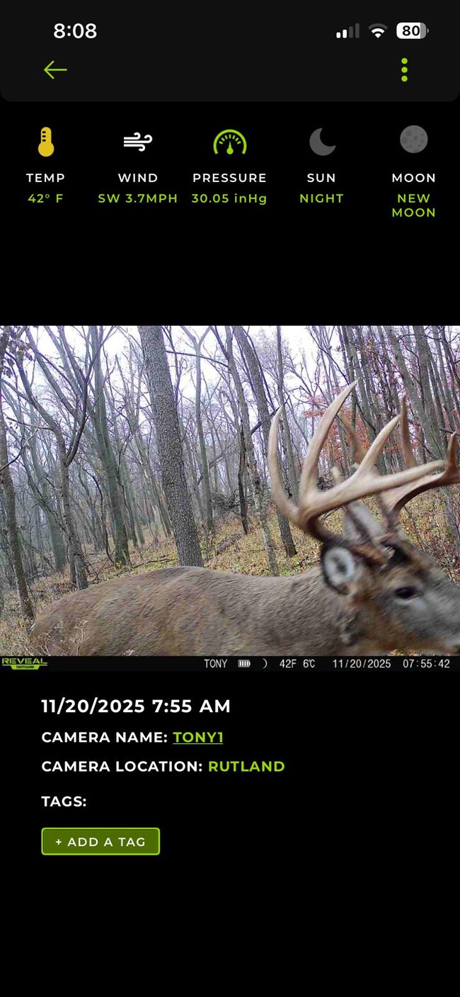 2125 250th St, Marble Rock, IA 50653 - photo 4