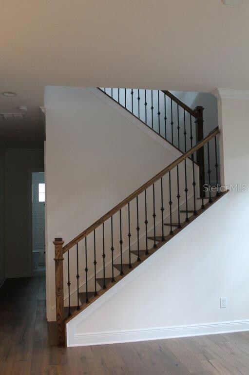 3614 W Tampa Cir, Tampa, FL 33629 - photo 3