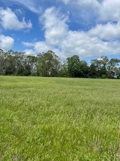 4 Check's Corner Rd, Sulphur Springs, AR 72768 - photo 3