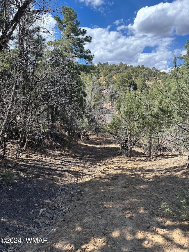 IMG_4628_ Looking down driveway, N