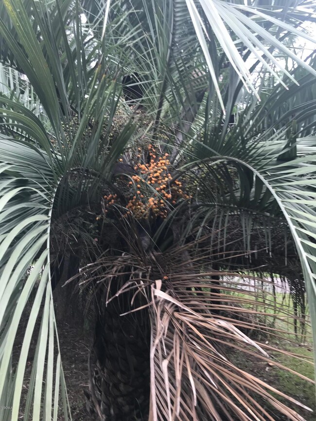 image2 (6)