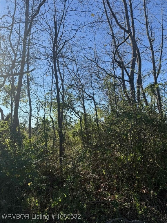 Tract 10 Lakeview Dr, Spiro, OK 74959 - photo 2