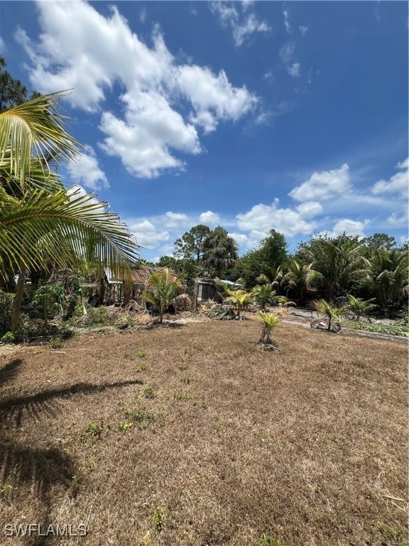 View of yard