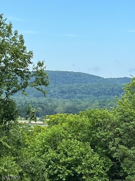 7 Canada Goose Dr, Hackettstown, NJ 07840 - photo 2