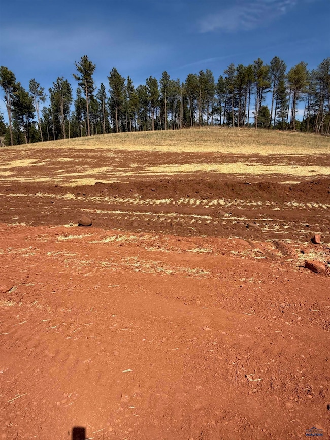 5746 Wind River Rd, Rapid City, SD 57702 - photo 4