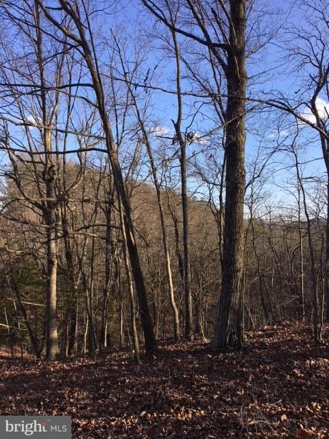 0 Gafia Lodge Rd unit 1000343272, Middletown, VA 22645 - photo 3