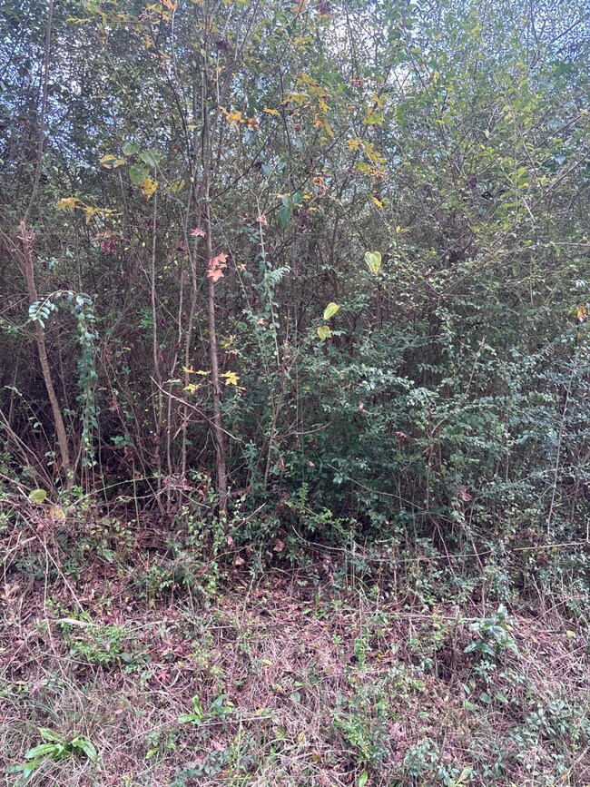 00 Phillips Rd, Sumrall, MS 39482 - photo 7