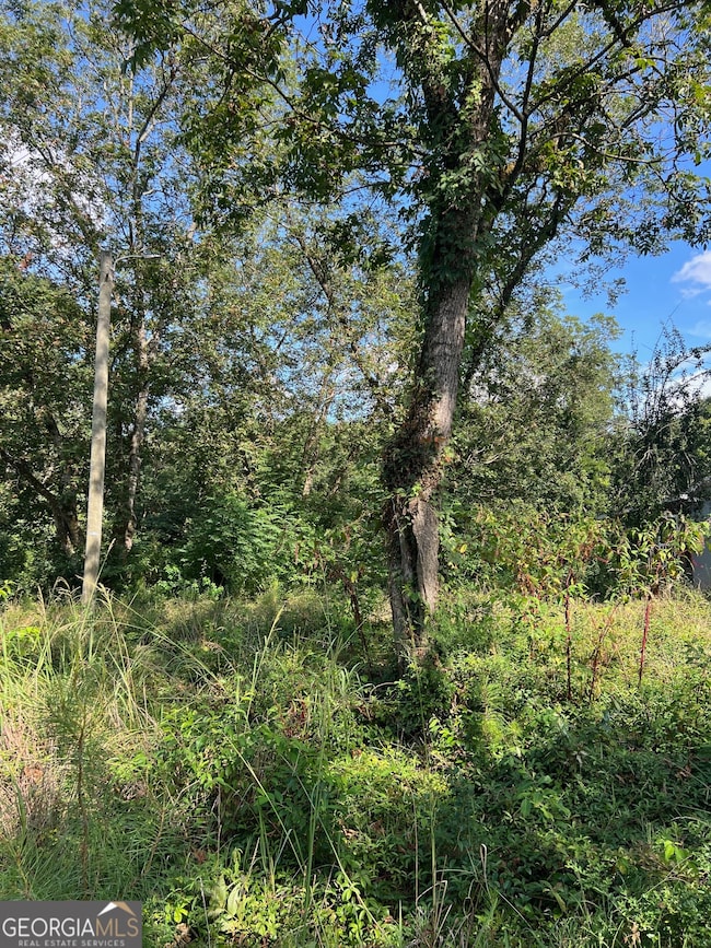 0 N Barnard Ave, Lagrange, GA 30241 - photo 4