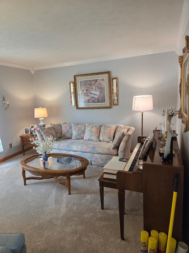 1381 Old Eccles Rd, Beckley, WV 25801 - photo 6