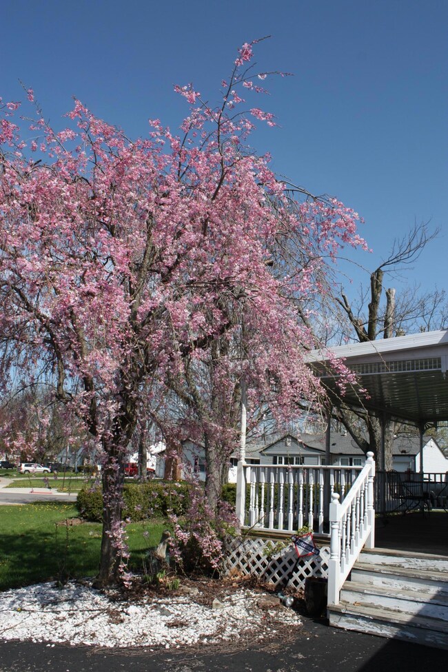 984 Torrey Hill Dr, Columbus, OH 43228 - photo 6