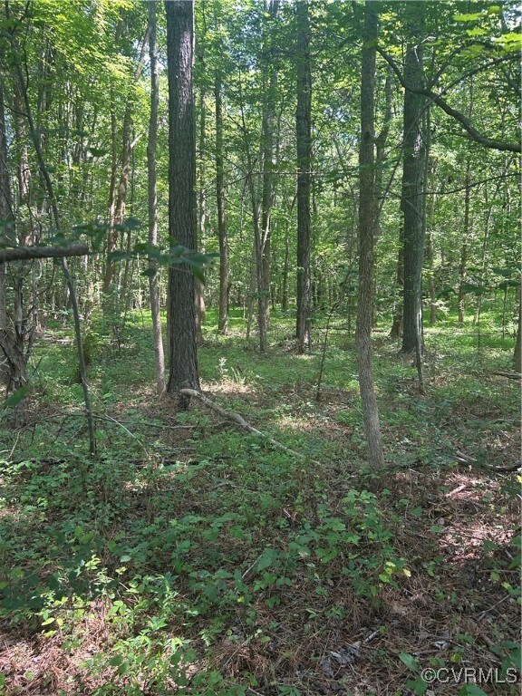 View of wooded area