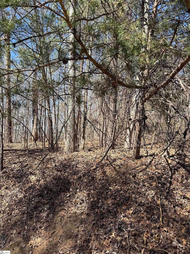 Lot 17 view on Foxboro Rd
