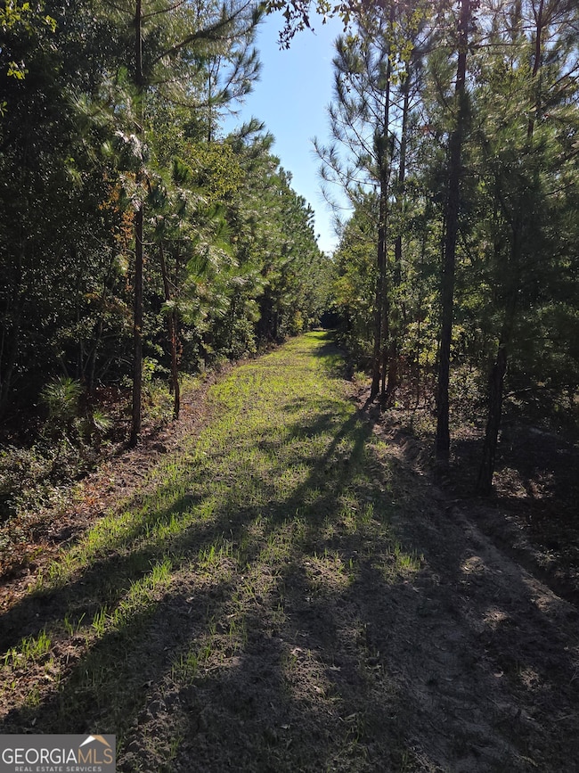 0 Alton Lawson Rd, Adrian, GA 31002 - photo 3