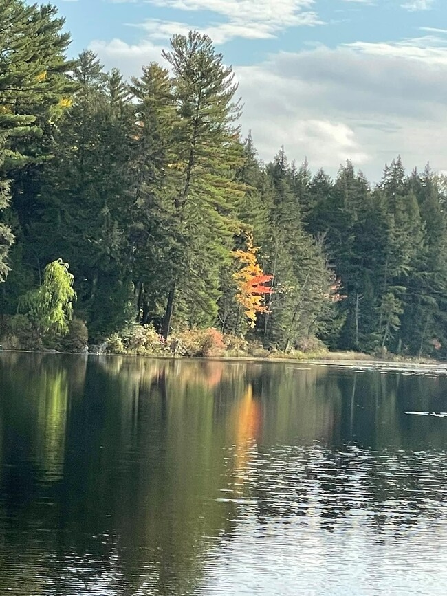 37 Forest Pond Rd, New Hampton, NH 03256 - photo 4