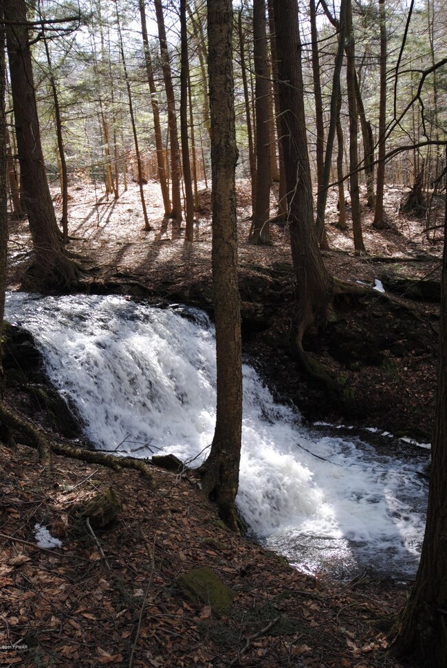 400 Forest St, Honesdale, PA 18431 - photo 2