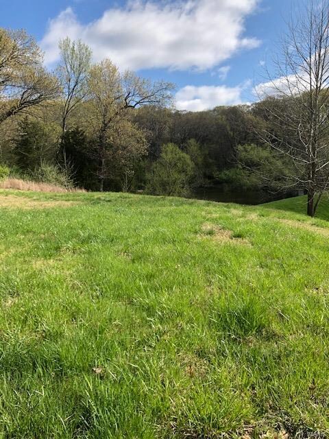 1129 Breton Woods Ct, Chesterfield, MO 63005 - photo 3