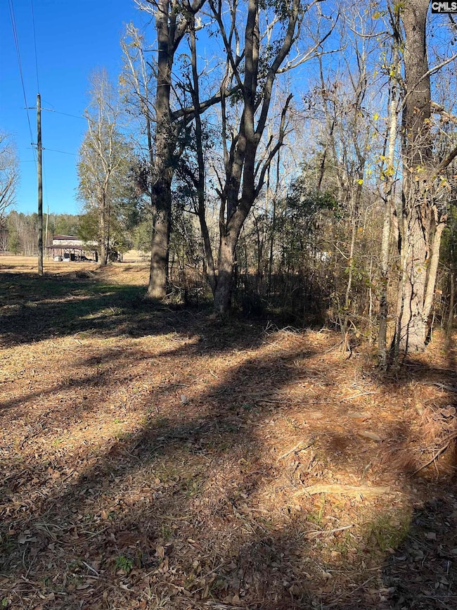 TBD Swansea Rd unit tract a, Swansea, SC 29160 - photo 3