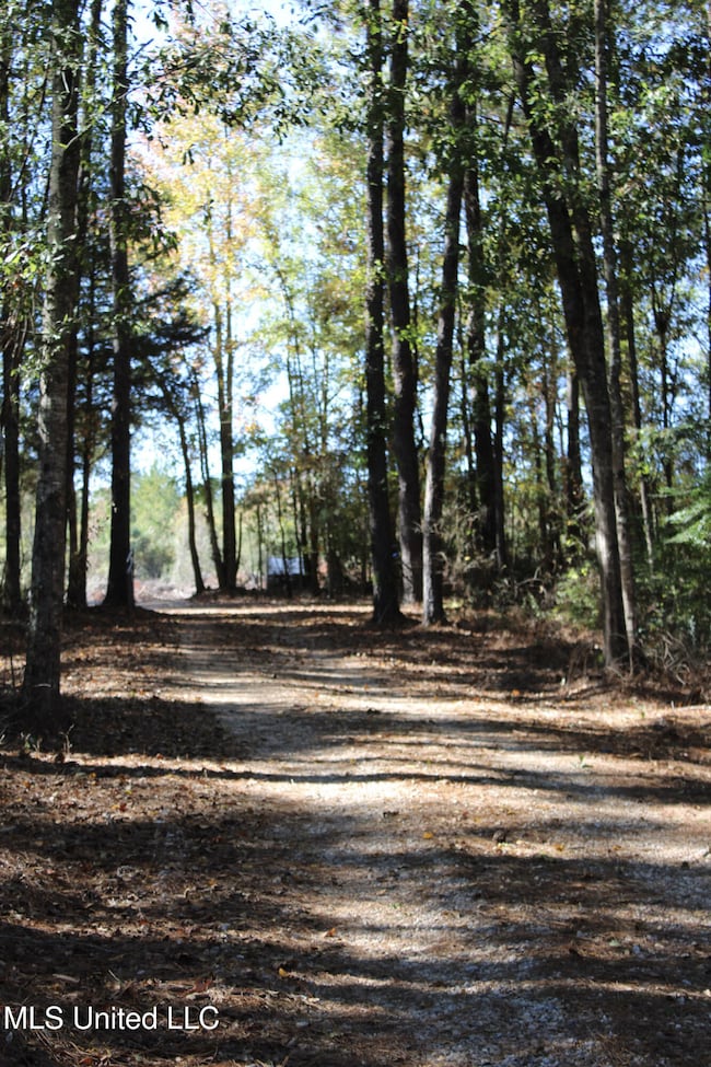 2108 Joel Lang Rd, McComb, MS 39648 - photo 7