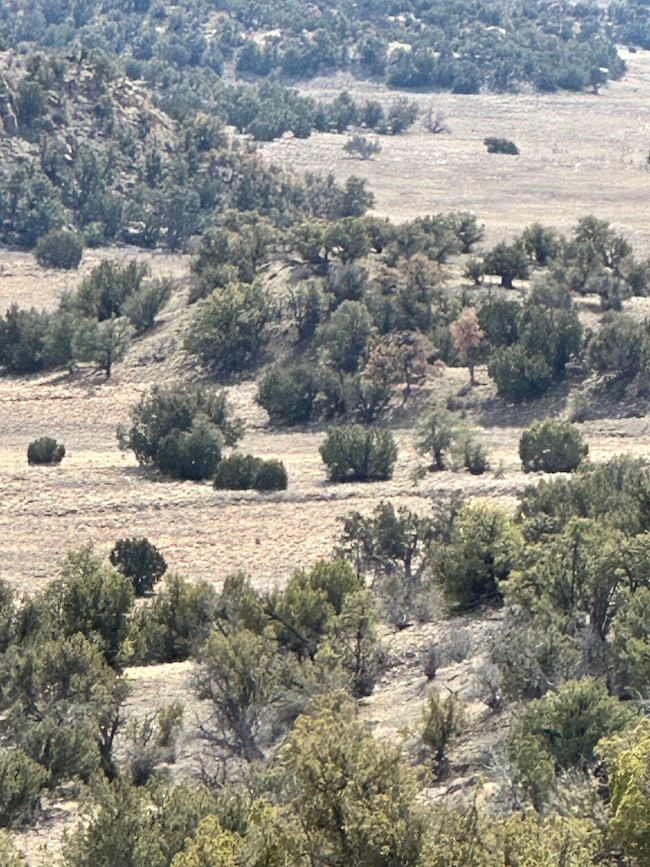 0 Nsn Highway 36 unit 25747166, Fence Lake, NM 87513 - photo 5