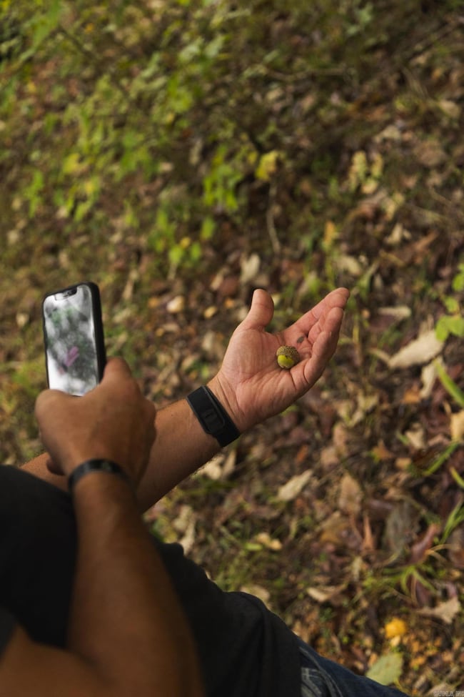 TBD Forrest Rd Fields, Malvern, AR 72104 - photo 4