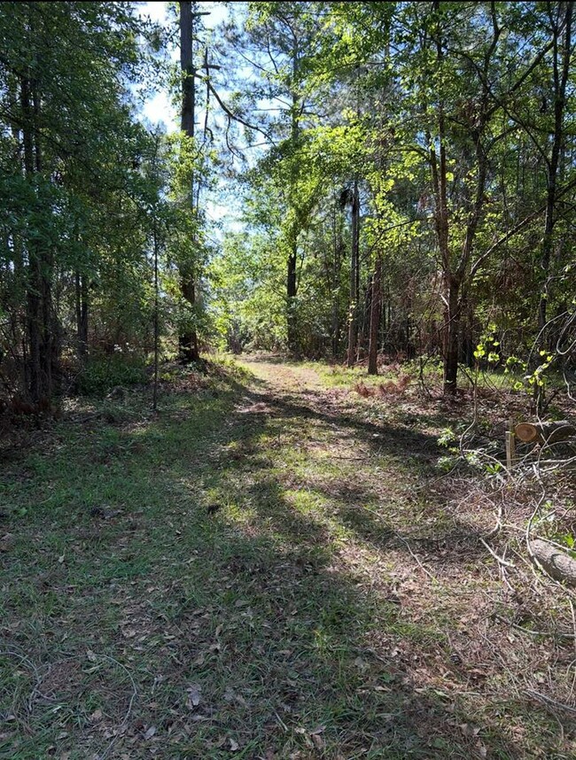 223 Hill Rd, Lyons, GA 30436 - photo 5