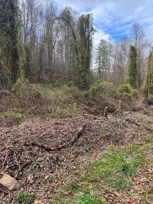 Tract 2 Cow Fork Rd, Beverly, KY 40913 - photo 7