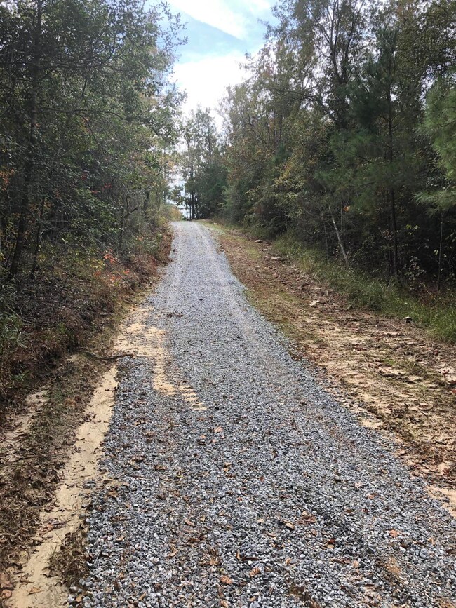 0 Backlin Rd, Lucedale, MS 39452 - photo 4