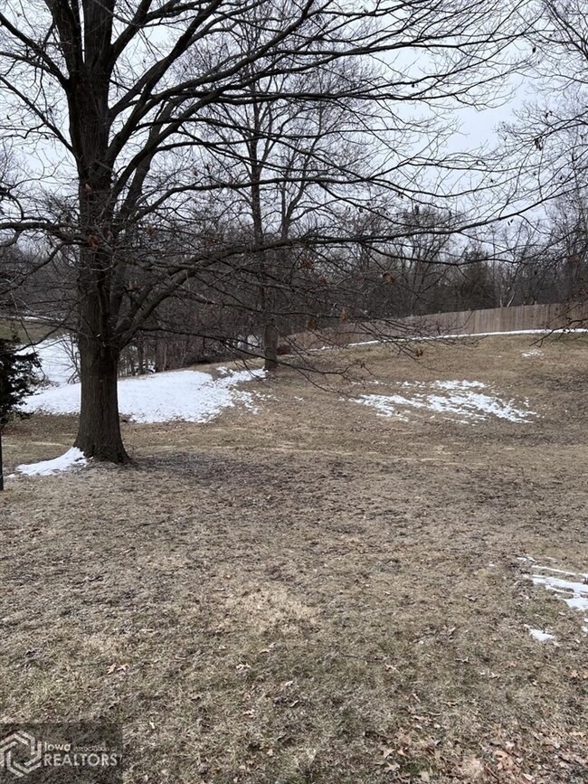 1837 Knox Road 100 E, Galesburg, IL 61401 - photo 4