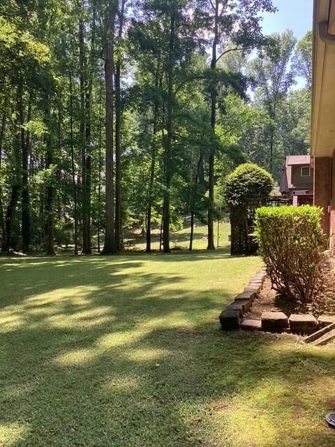 View of green lawn