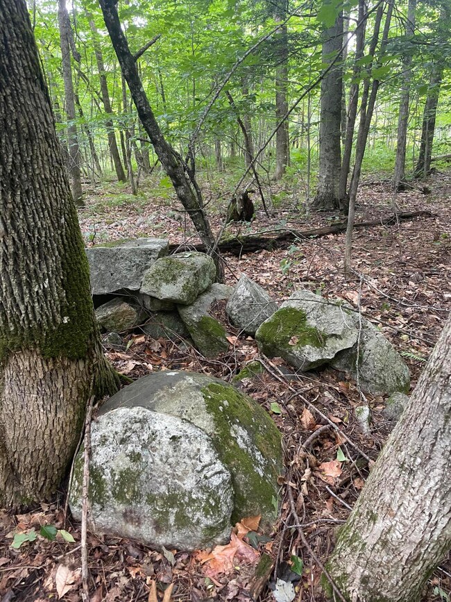 IMG-6242