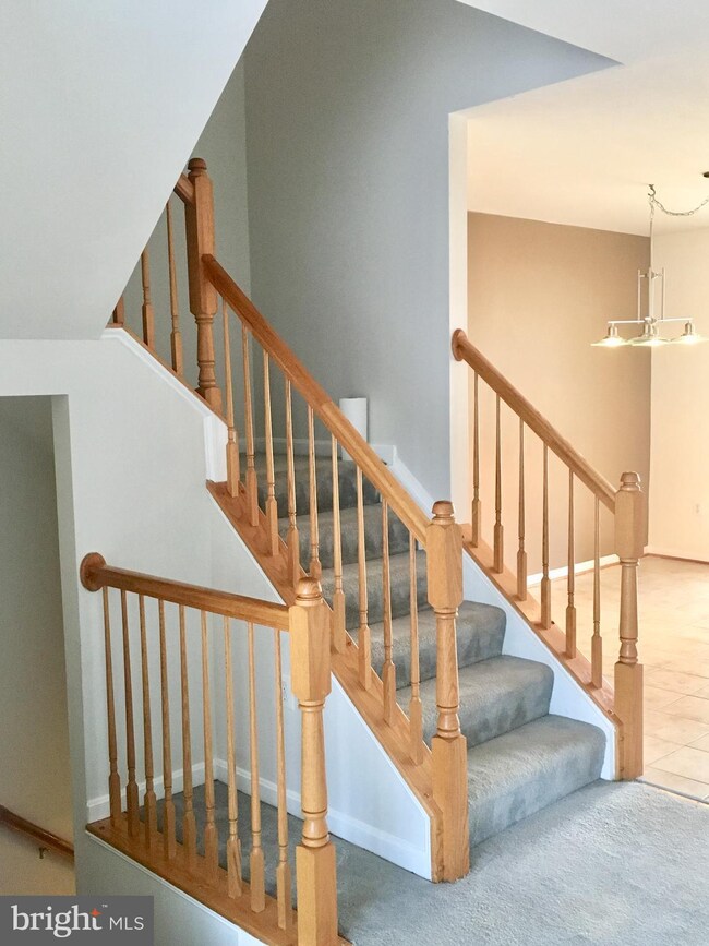 307 Galway Ln, Stafford, VA 22554 - photo 4