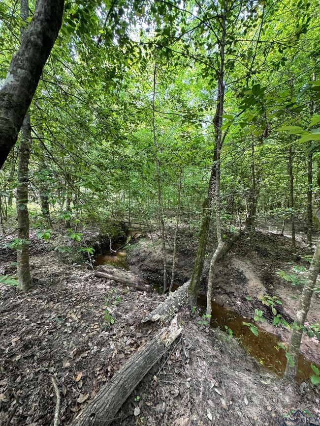 View of nature featuring a view of trees
