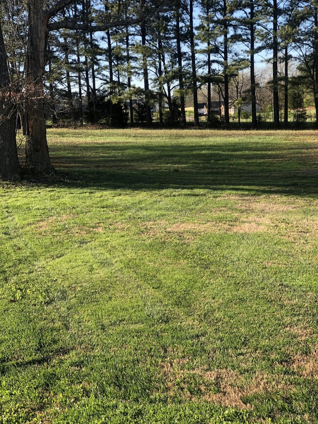 Large backyard with shade