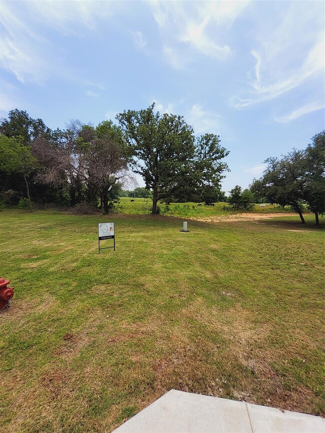 147 Cooper Ct, Springtown, TX 76082 - photo 3