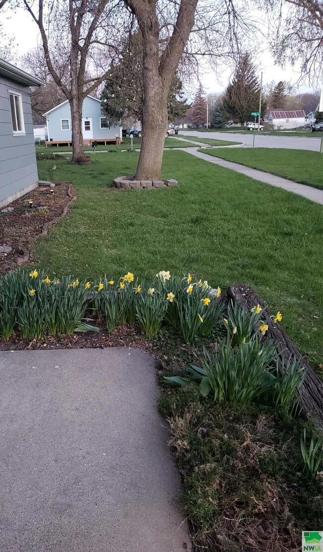 415 Cameo St, Onawa, IA 51040 - photo 7