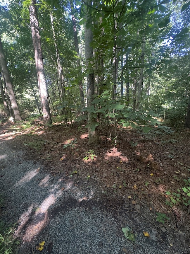 104B Beechwood Dr, Weems, VA 22576 - photo 5