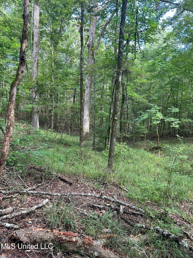 00 Raymond Rd, Hazlehurst, MS 39083 - photo 3