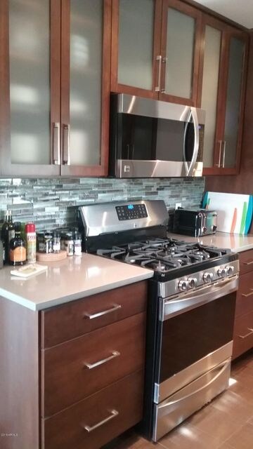 Gas Grill & Oven