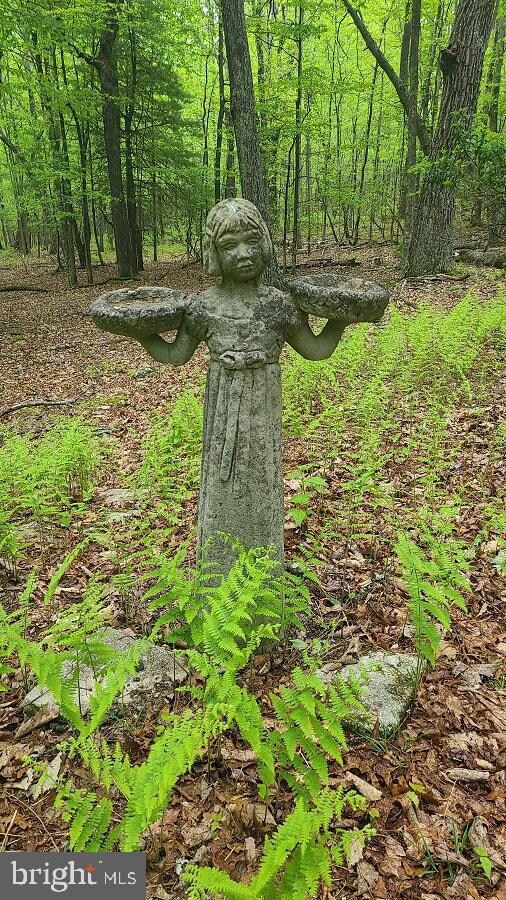 1712 Buck Ridges Rd, Franklin, WV 26807 - photo 2