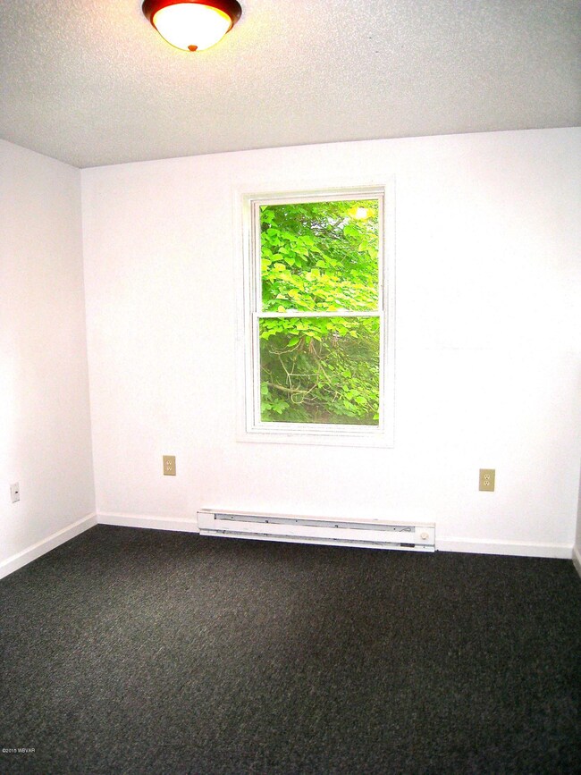 49 Spring St, Lock Haven, PA 17745 - photo 7