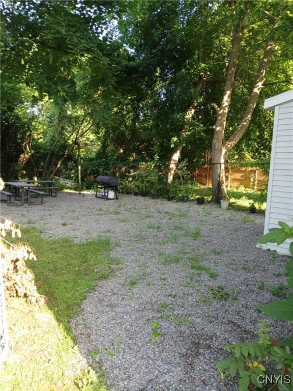Back yard