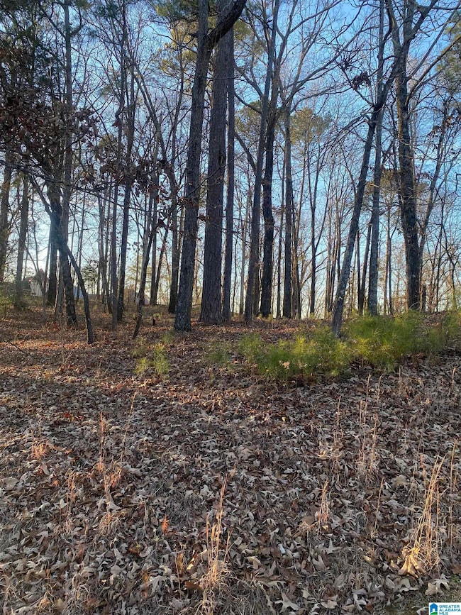 0 Vista Cir unit 26 21399216, Alpine, AL 35014 - photo 2