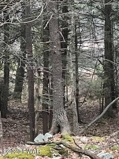 0 738 739 740 Tink Wig Dr, Lackawaxen, PA 18435 - photo 4